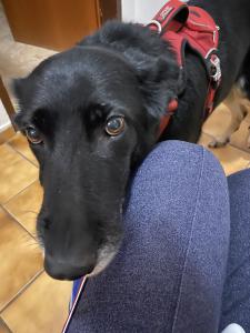 Ellie