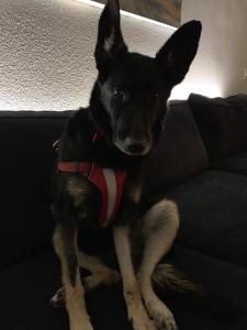 Ellie